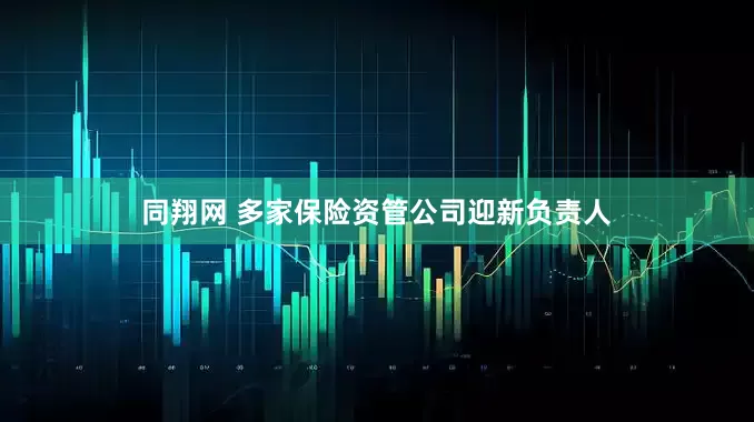 同翔网 多家保险资管公司迎新负责人
