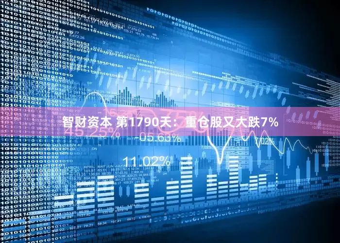 智财资本 第1790天：重仓股又大跌7%