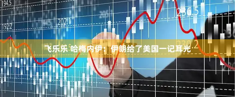 飞乐乐 哈梅内伊：伊朗给了美国一记耳光