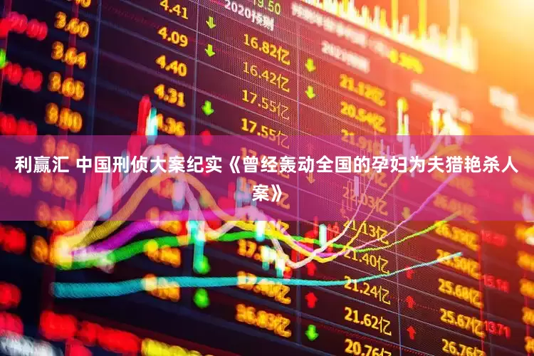 利赢汇 中国刑侦大案纪实《曾经轰动全国的孕妇为夫猎艳杀人案》