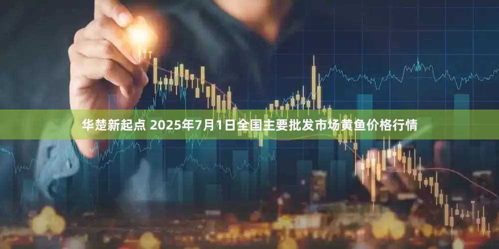 华楚新起点 2025年7月1日全国主要批发市场黄鱼价格行情