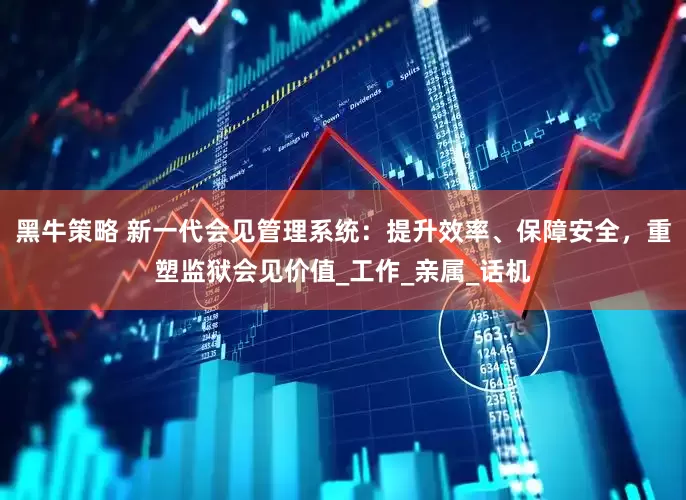 黑牛策略 新一代会见管理系统：提升效率、保障安全，重塑监狱会见价值_工作_亲属_话机