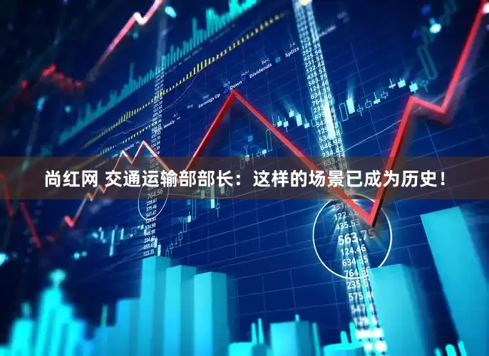 尚红网 交通运输部部长：这样的场景已成为历史！