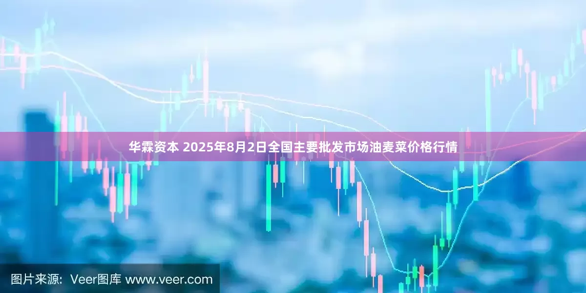 华霖资本 2025年8月2日全国主要批发市场油麦菜价格行情