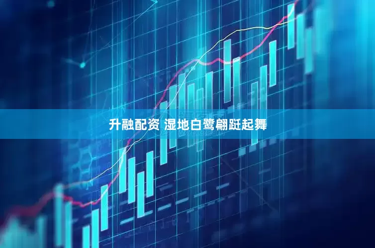 升融配资 湿地白鹭翩跹起舞